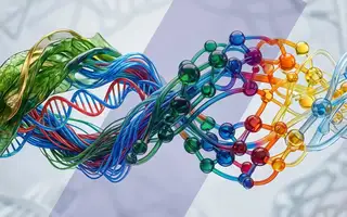 پلیمر چیست؟ آشنایی با انواع، کاربردها و نقش آن در صنعت بسته‌بندی